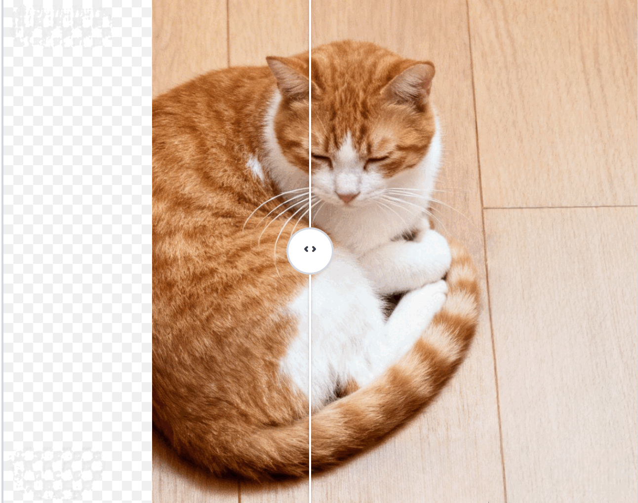 uncrop tool sample - orange white cat extended beyond tight crop